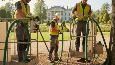 Tree fertilization service in Bellevue, WA for healthier roots and stronger tree growth